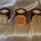 The Florida Collection Bundle