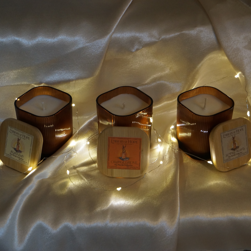 The Florida Collection Bundle